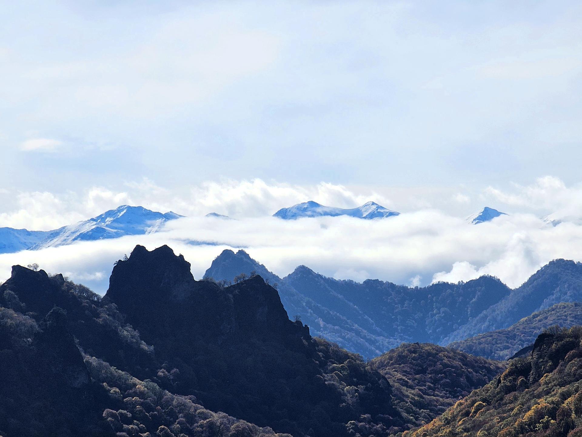 Кавказ – погружение в историю и традиции  2026