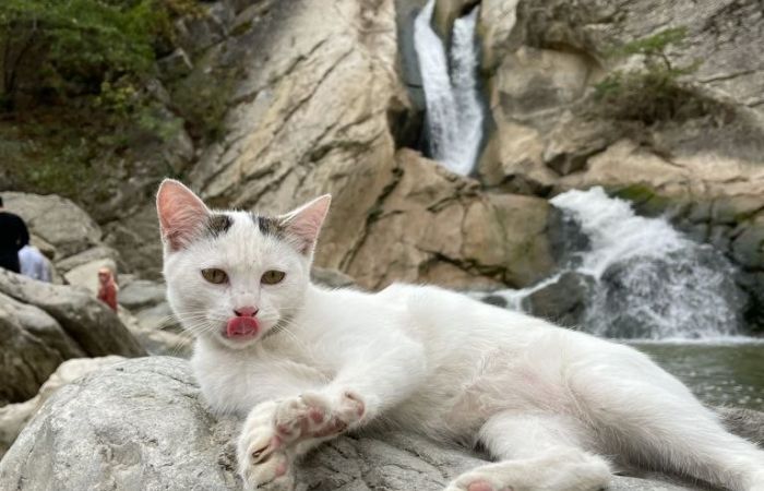 Хучнинский водопад Дагестан