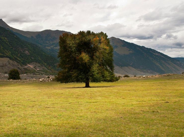 Ущелье Джамагат